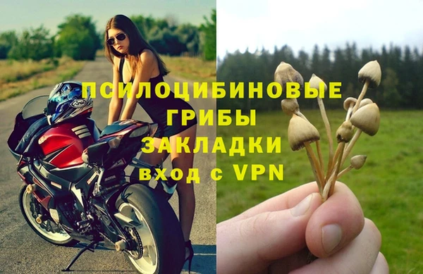синтетический гашиш Заречный