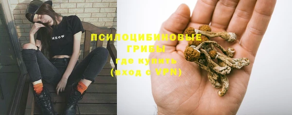 прущая мука Белокуриха