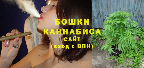 прущие грибы Белоозёрский