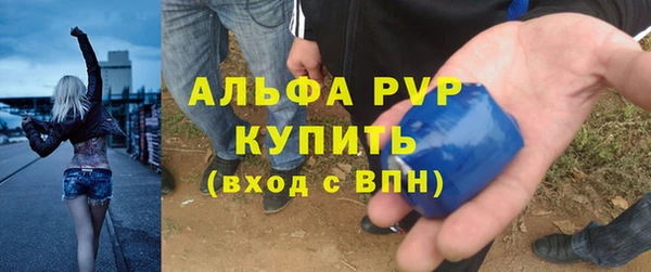 прущие грибы Белоозёрский