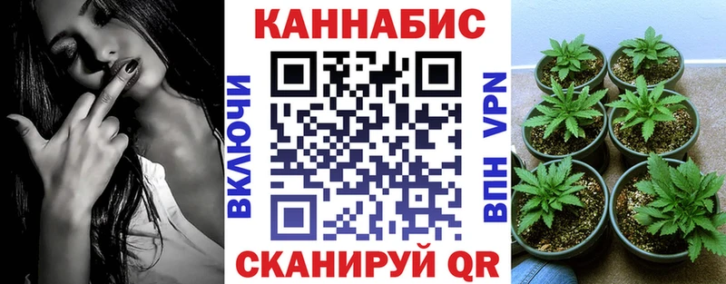 Шишки марихуана марихуана  где продают   Макаров 